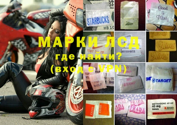 гидропоника Алзамай